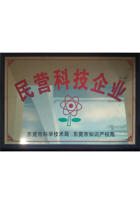 民营科技企业